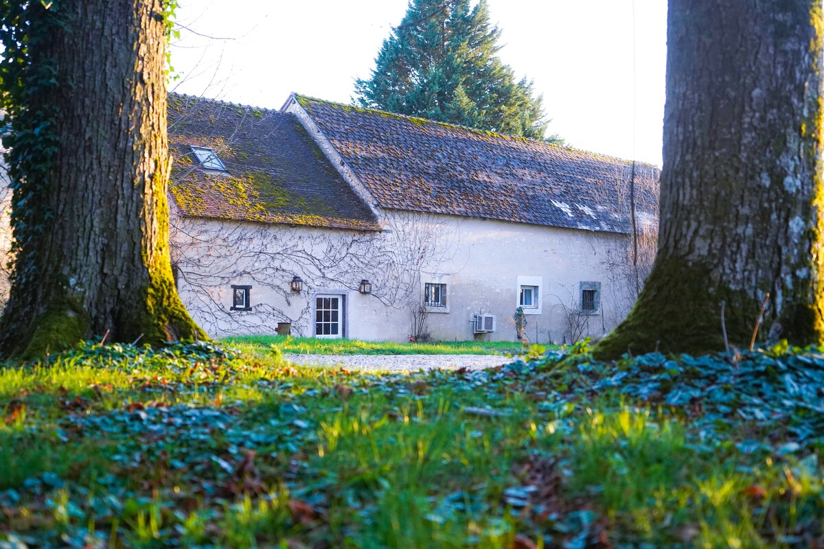 Le Clos des Aubrys • Piscine • Calme