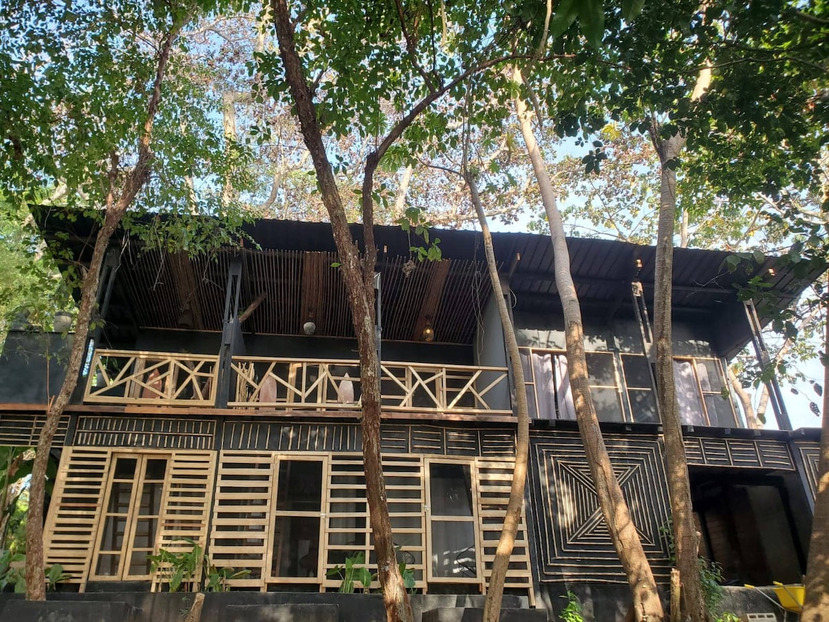 Middle of nature Tree nest hostel (3)