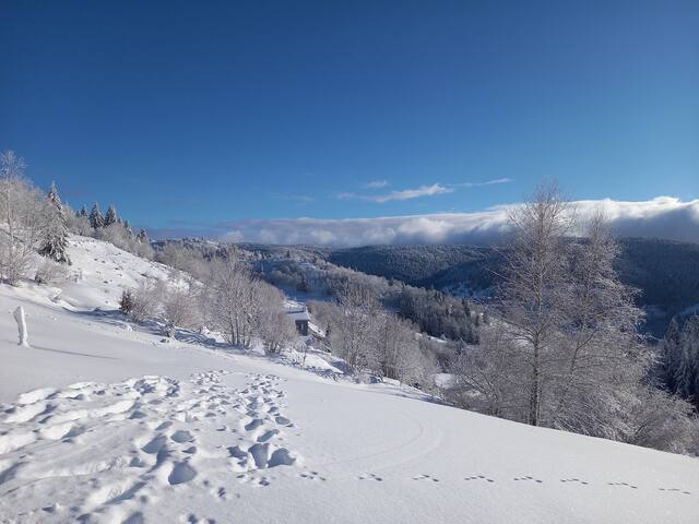 拉布雷斯 (La Bresse)的民宿