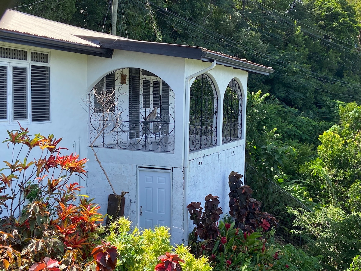 Joli cottage, jardin tropical vue mer