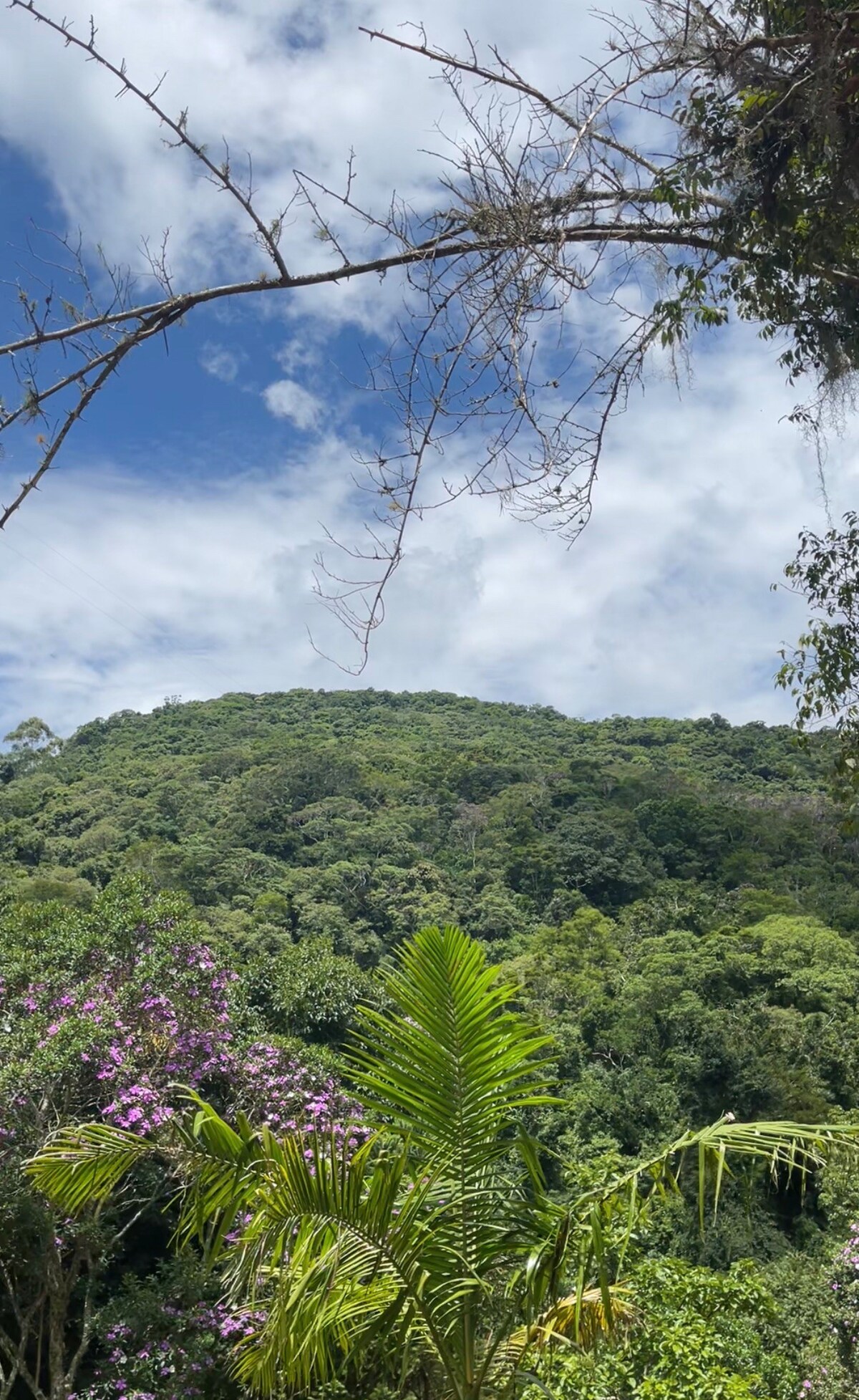 Sítio com cachoeira privativa