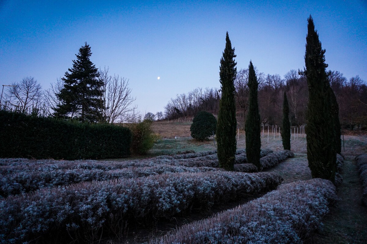 Il Cavicchio Agriturismo-双人房