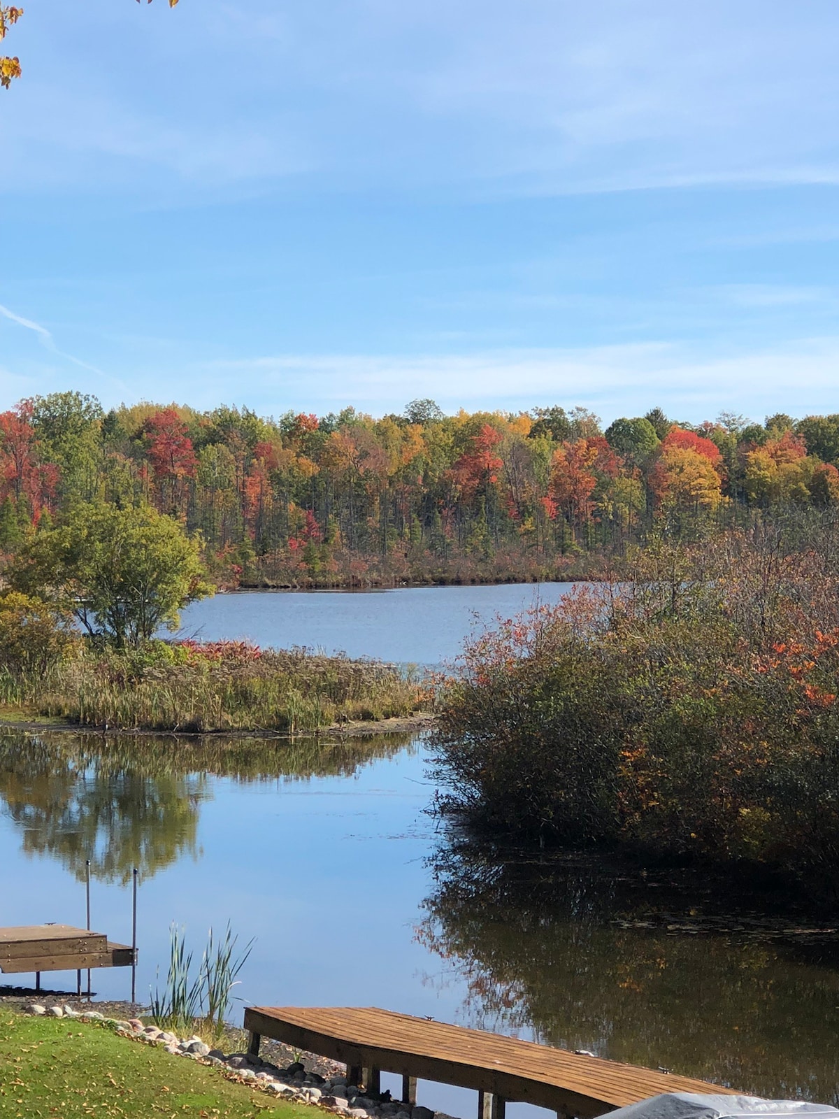 Pet Friendly-Pontoon Rental