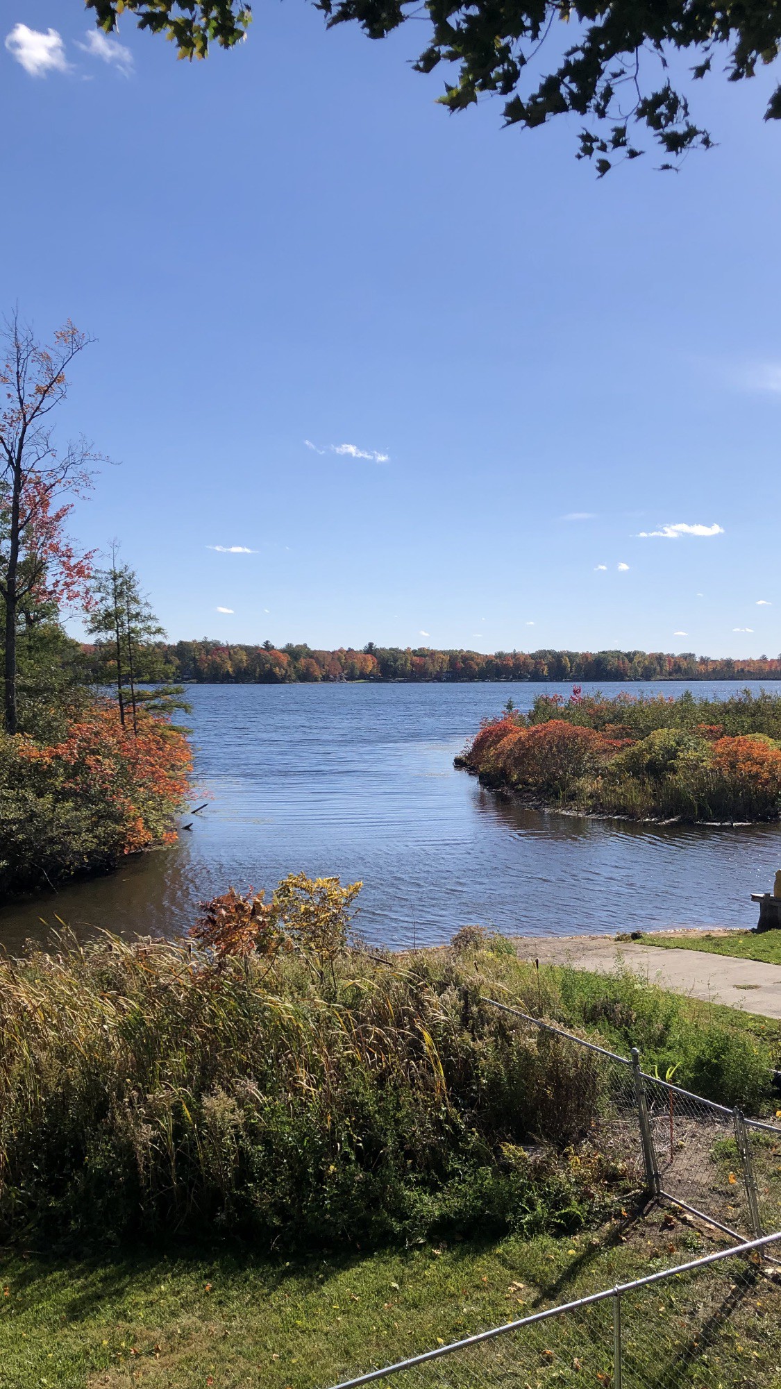 Pet Friendly-Pontoon Rental