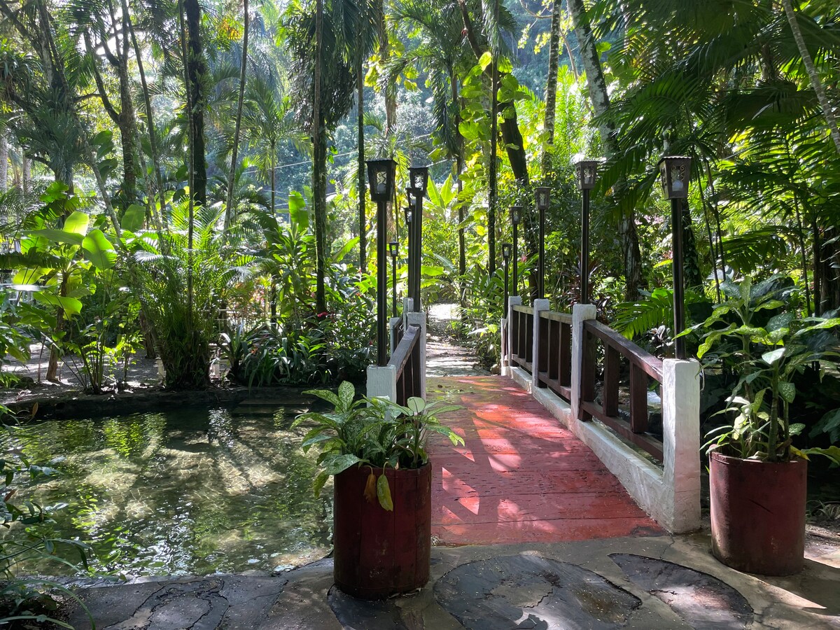 Eco Room in Posada Don Alonso