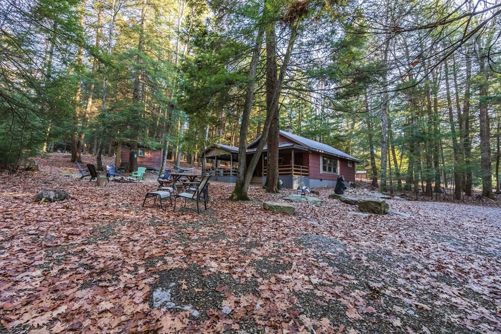 Boo Bear Cabin Cook Forest