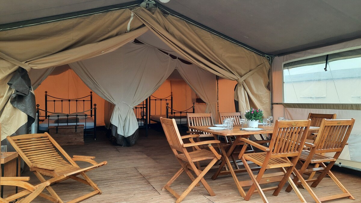 40平方米/4人旅馆野生动物园帐篷