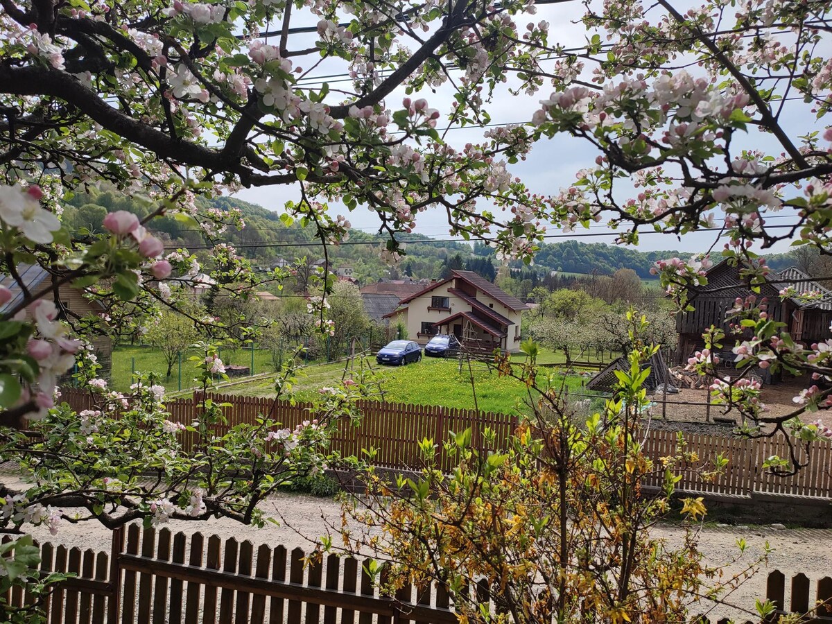 Cottage in traditional village Bradulet, Arges