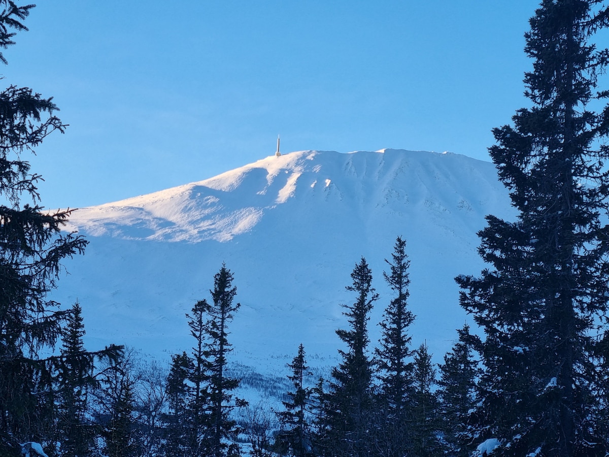 Ny leilighet, ski in/out, utsikt til Gaustatoppen