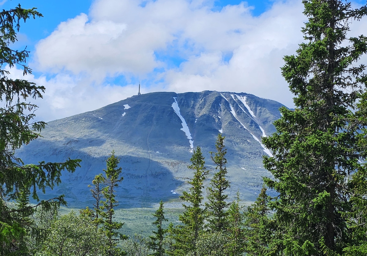 Ny leilighet, ski in/out, utsikt til Gaustatoppen