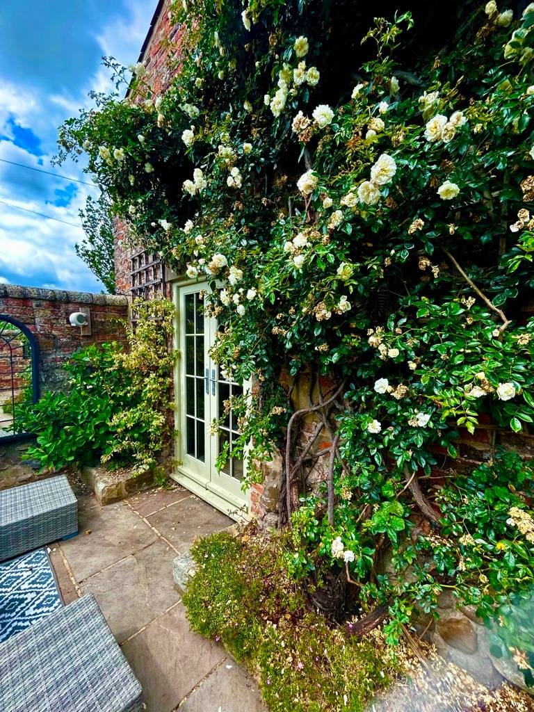 Tanyard Cottage - Whixley, North Yorkshire