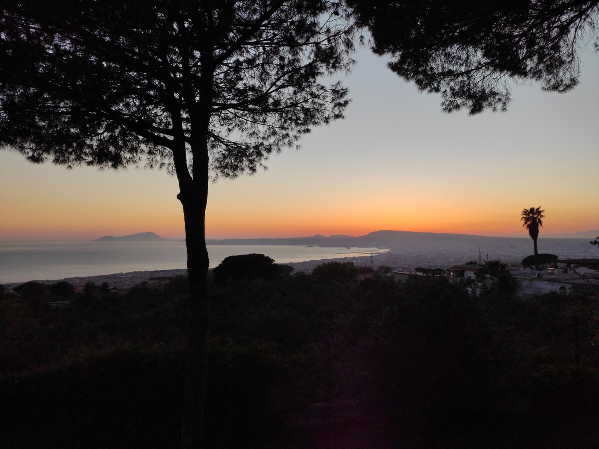 庞贝和卡普里（ Vesuvio 2 ）的景色