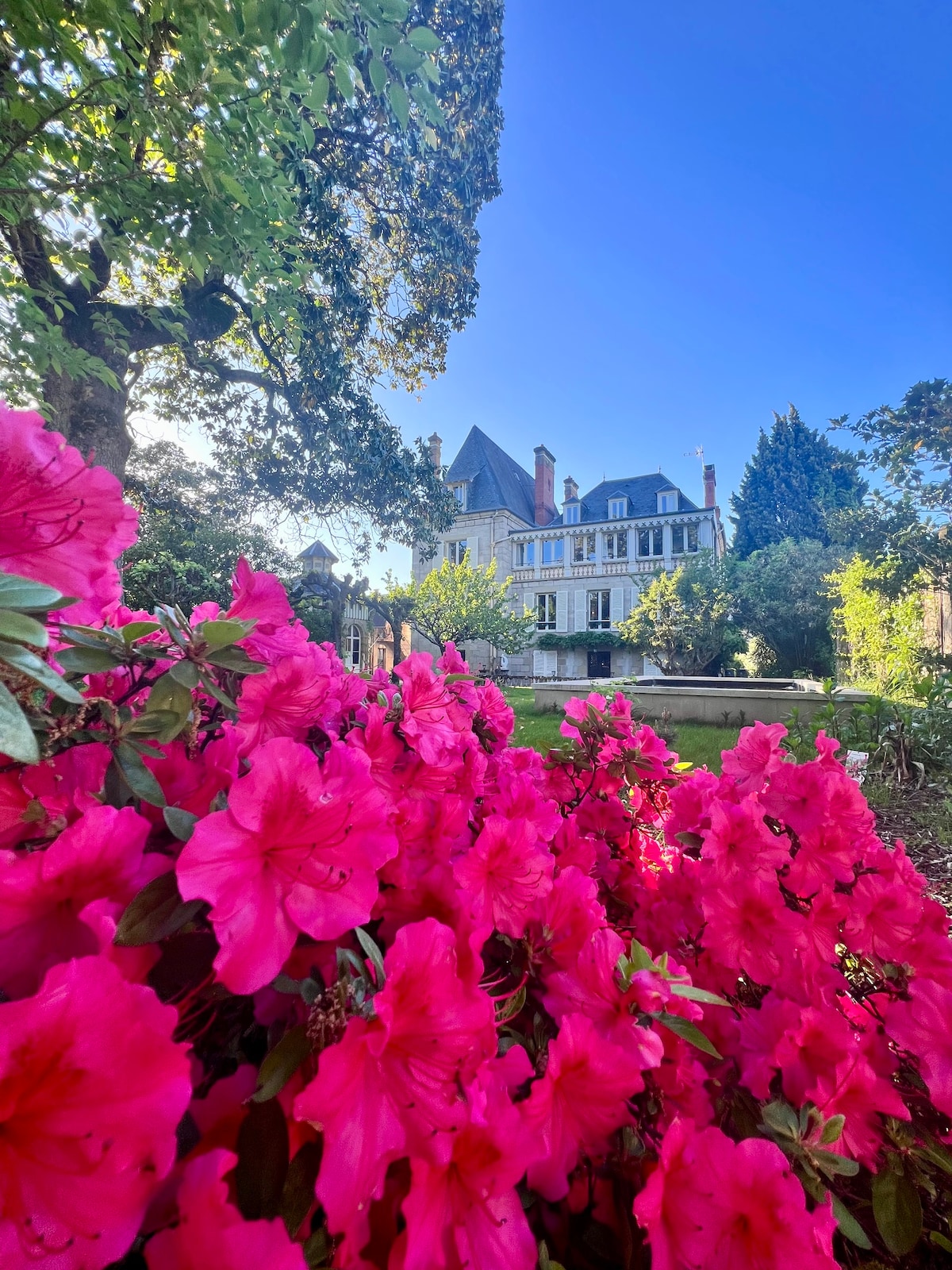 Suite Osmanthe - Hôtel particulier - Piscine ext.