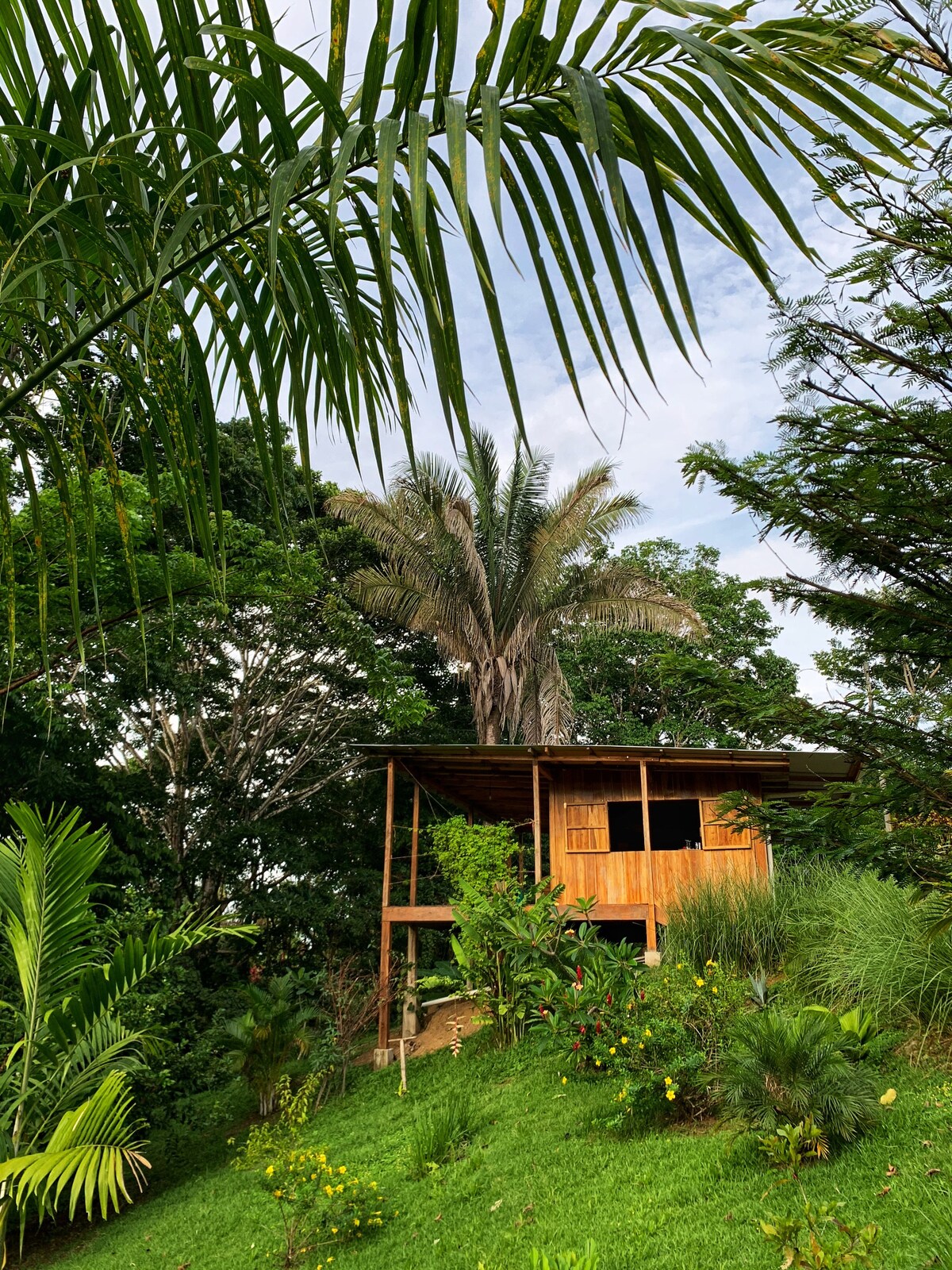 Jungle House Pavones