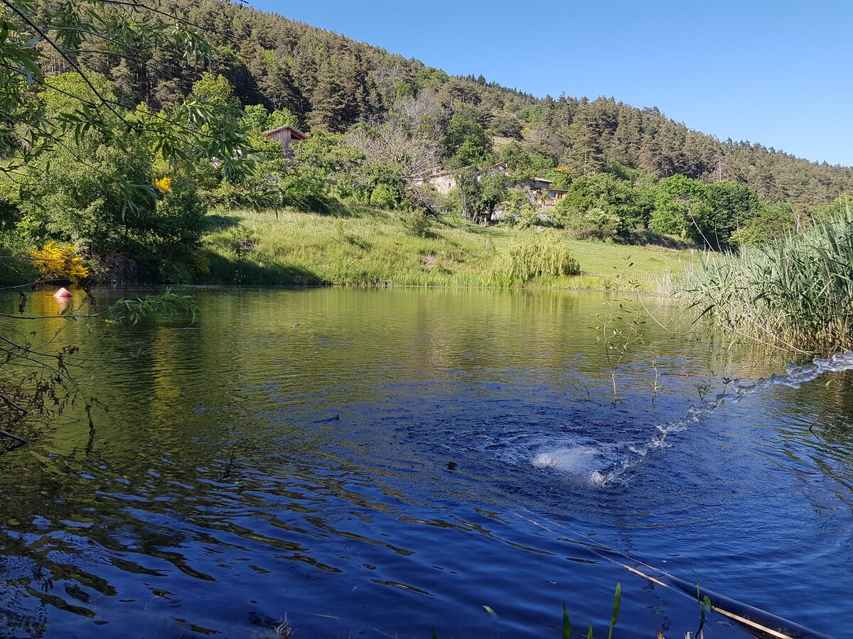 Se ressourcer en pleine nature