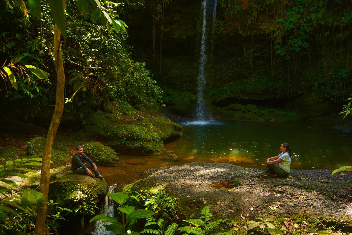 Serene Jungle Ecolodge - Double Room