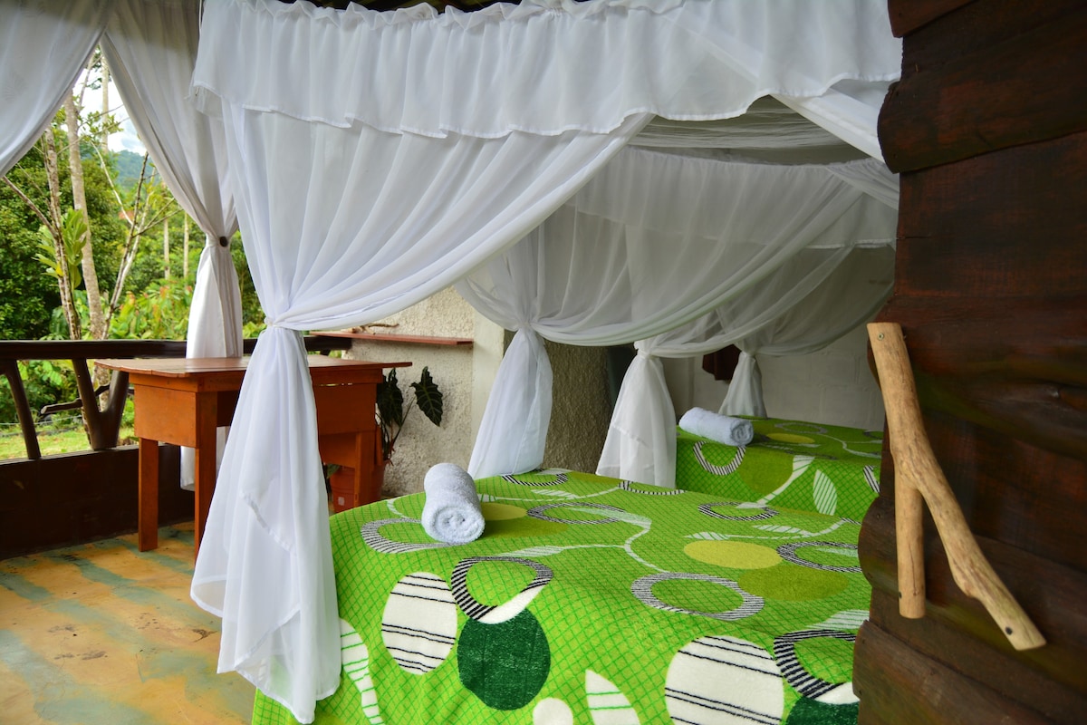 Serene Jungle Ecolodge - Double Room