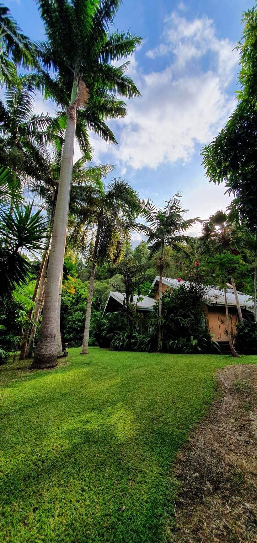 Villa des palmiers