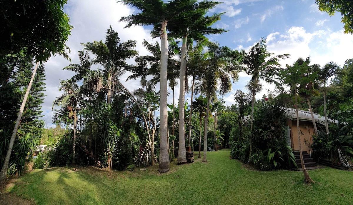 Villa des palmiers