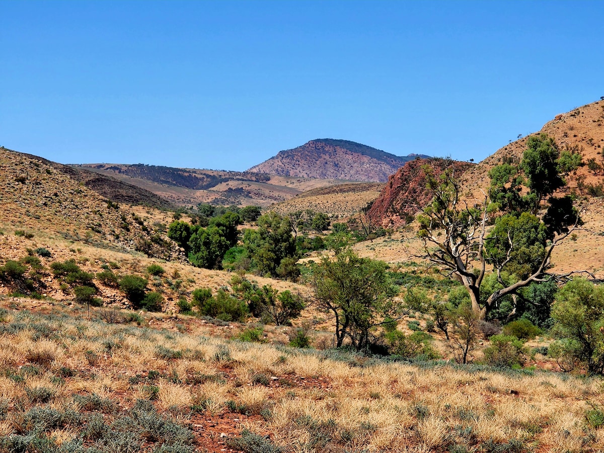 Mt Little Station - Range Retreat