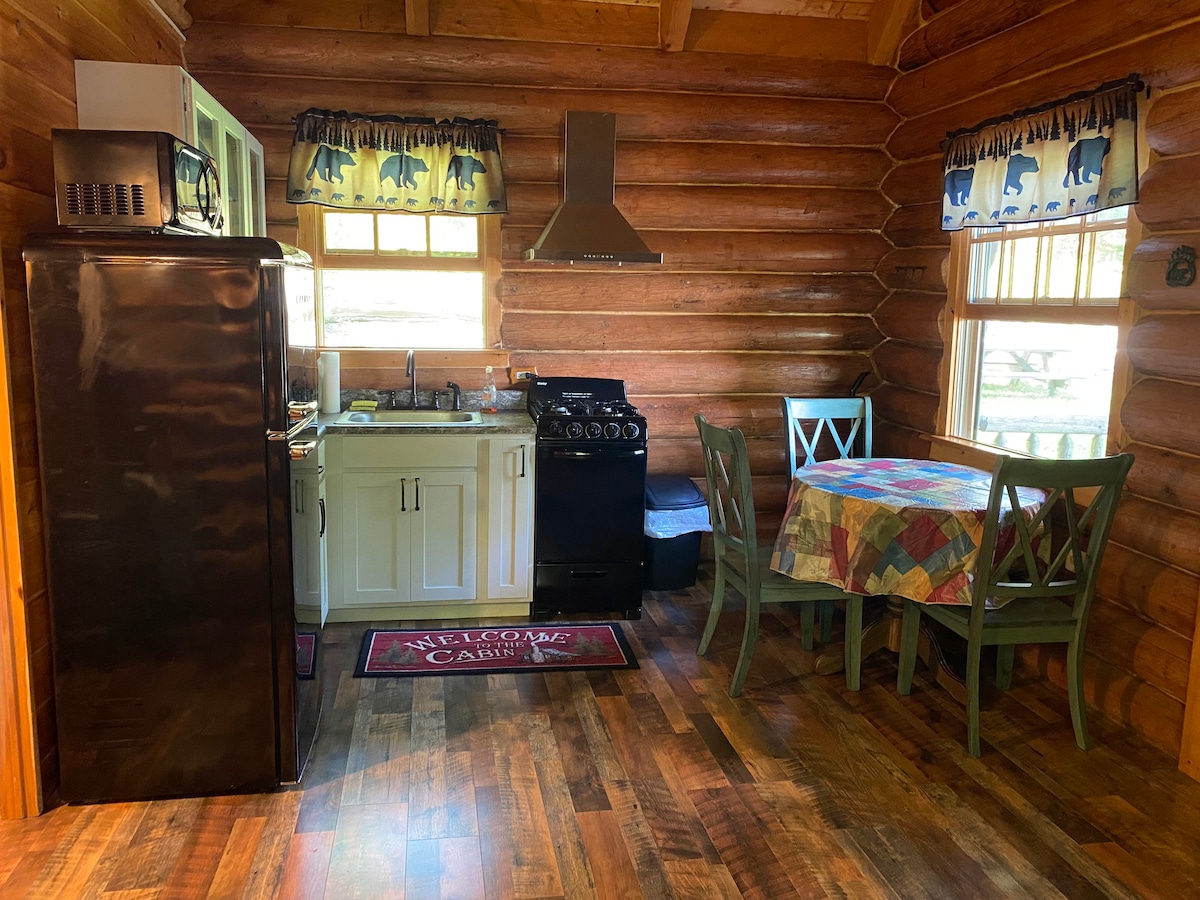 Cozy Log Cabin on the Lake