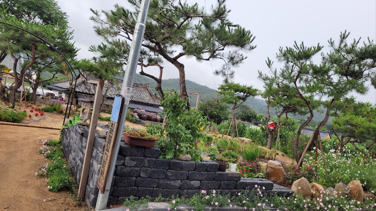 Gyeongju Chil Bulam路： Gyeongju Millennium Forest Hwanggeum花园和Gukbo Chilbulam路松树花园美味疗愈帐篷住宿