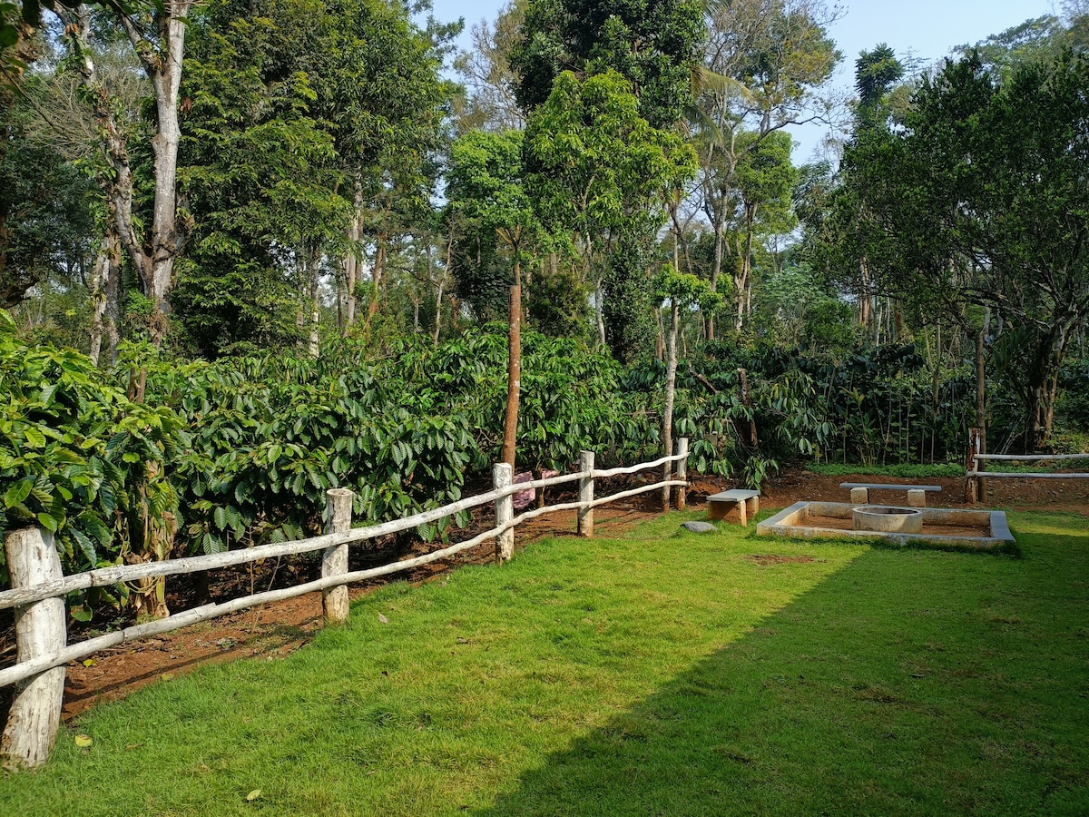 Woodend, Coorg （距离Dubare & Abbey瀑布5公里）