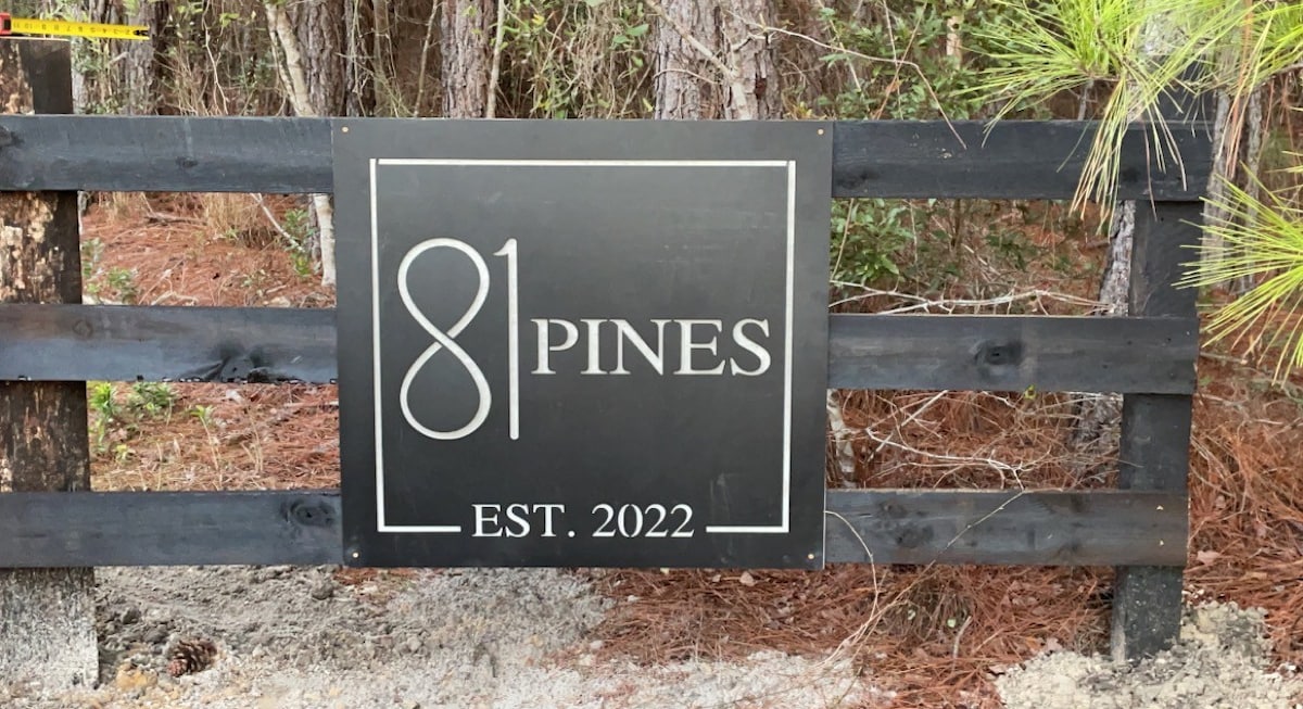 81 Pines 1