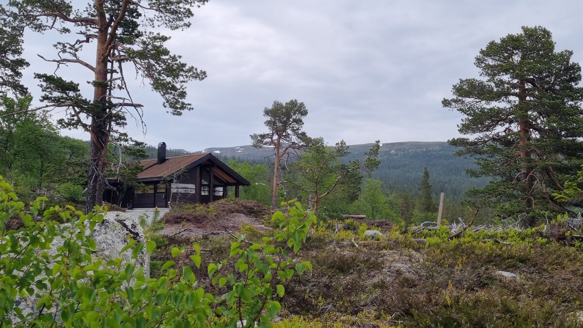 Heimstølen - Ålhytte on Sørbølfjellet