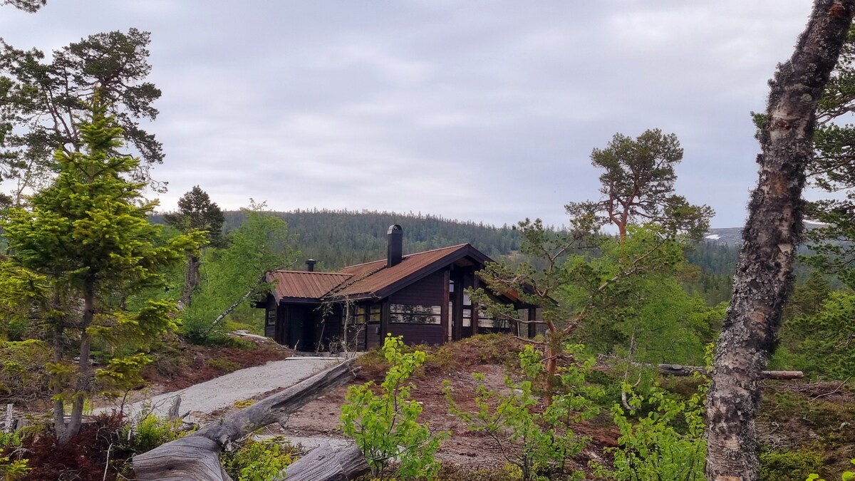 Heimstølen - Ålhytte on Sørbølfjellet