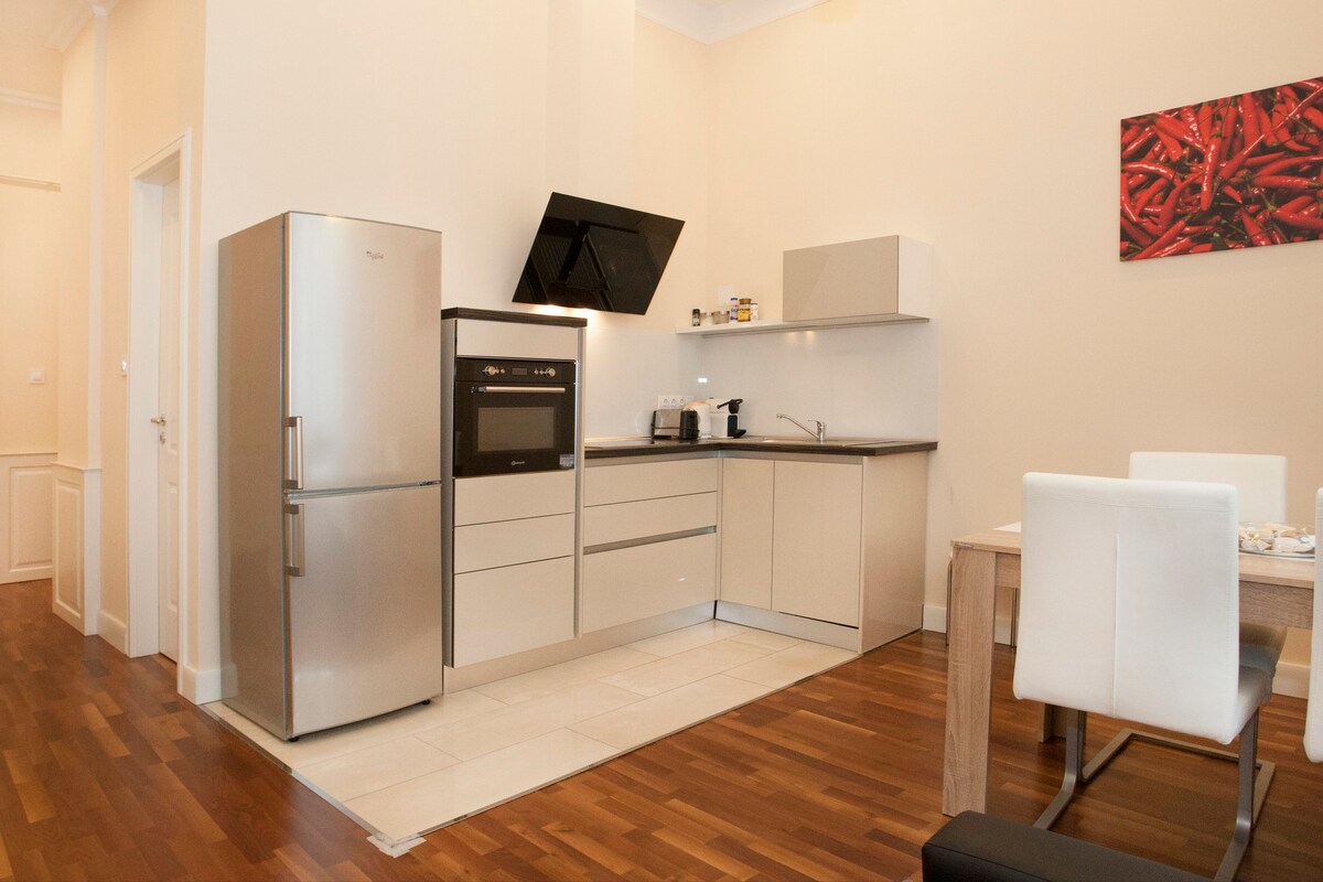 Anna-luxury apartment on Vaci utca.