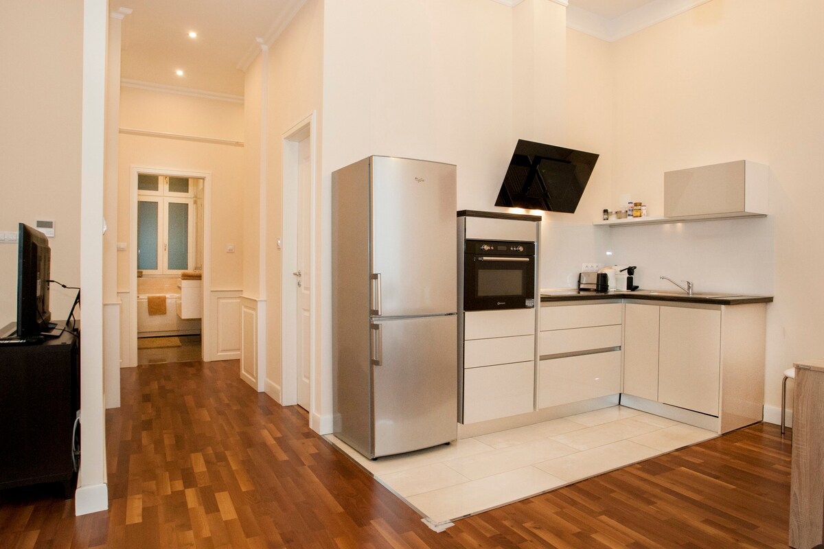 Anna-luxury apartment on Vaci utca.