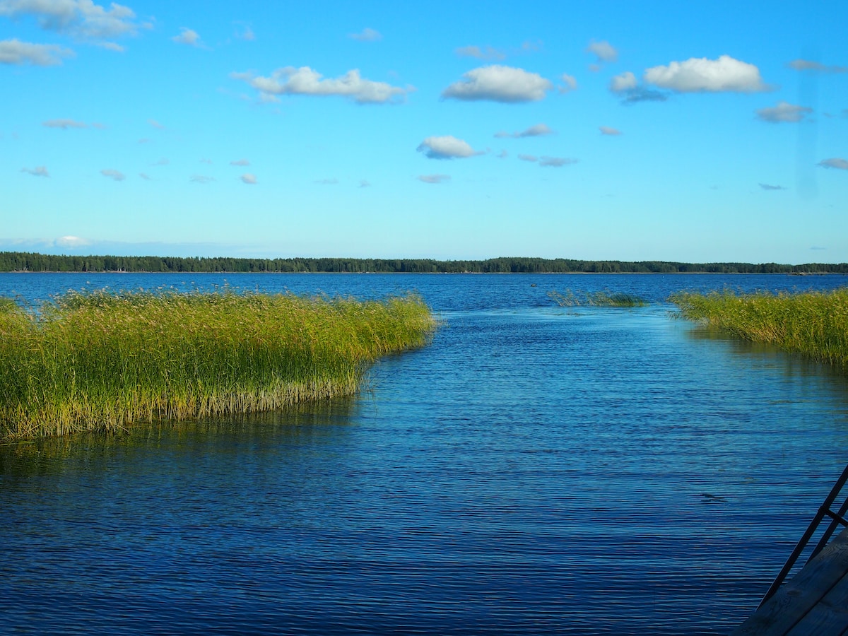 Söderstrandin aittahuone Pihlaja