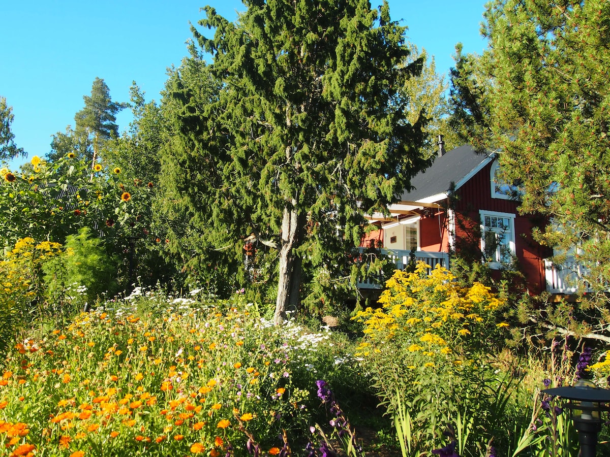 Söderstrandin aittahuone Pihlaja