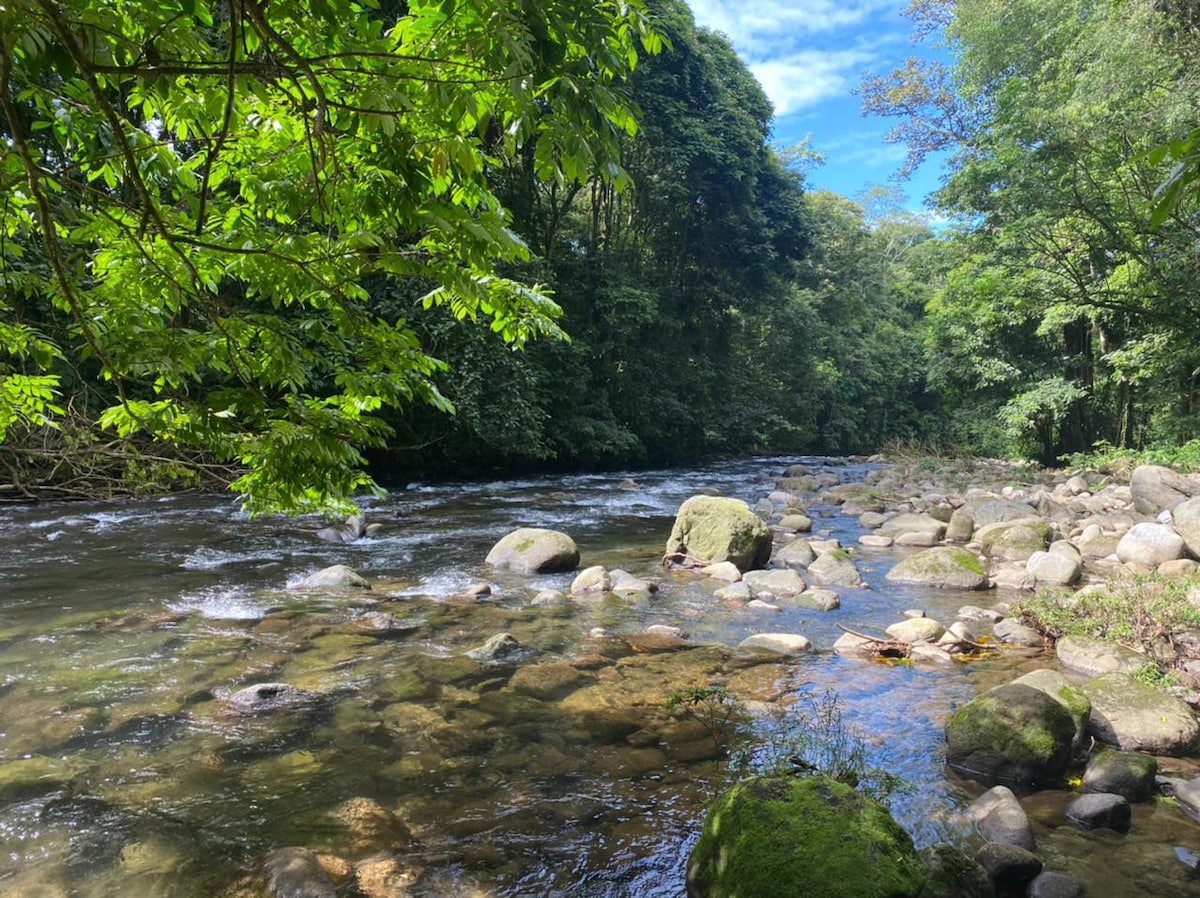 Apartment with private river and forest