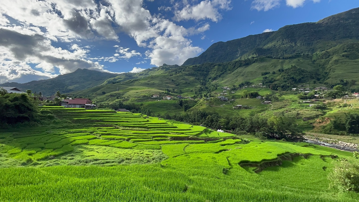 带山景和露台景观的双人平房