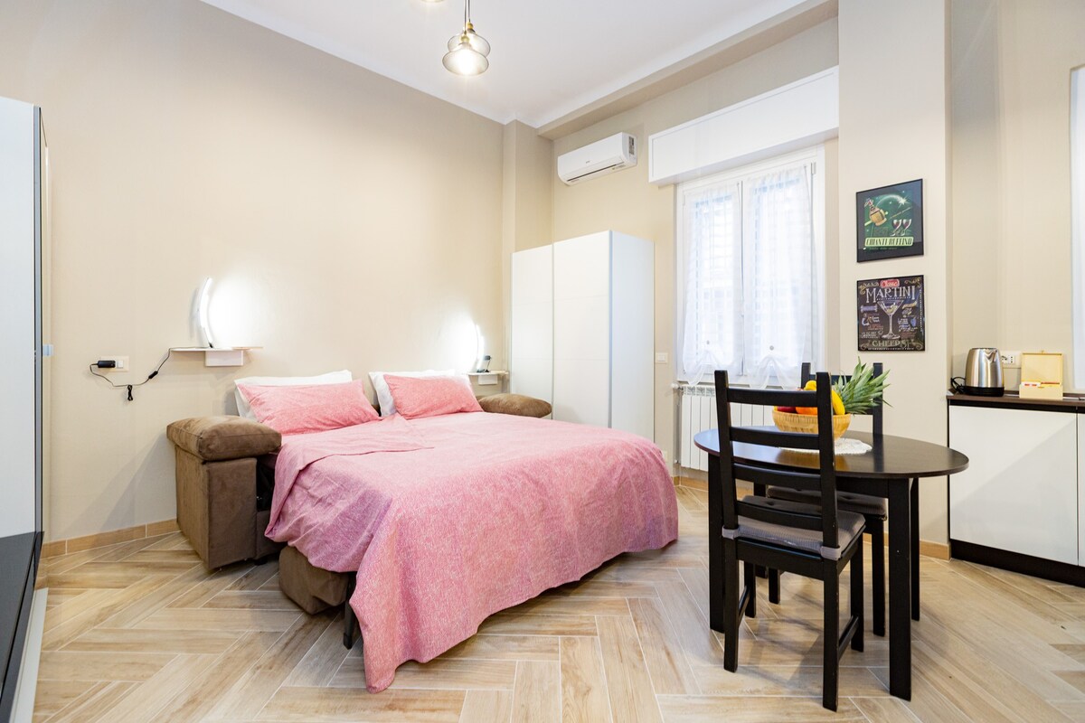 经过翻修的单间公寓，配备各种舒适设施。
