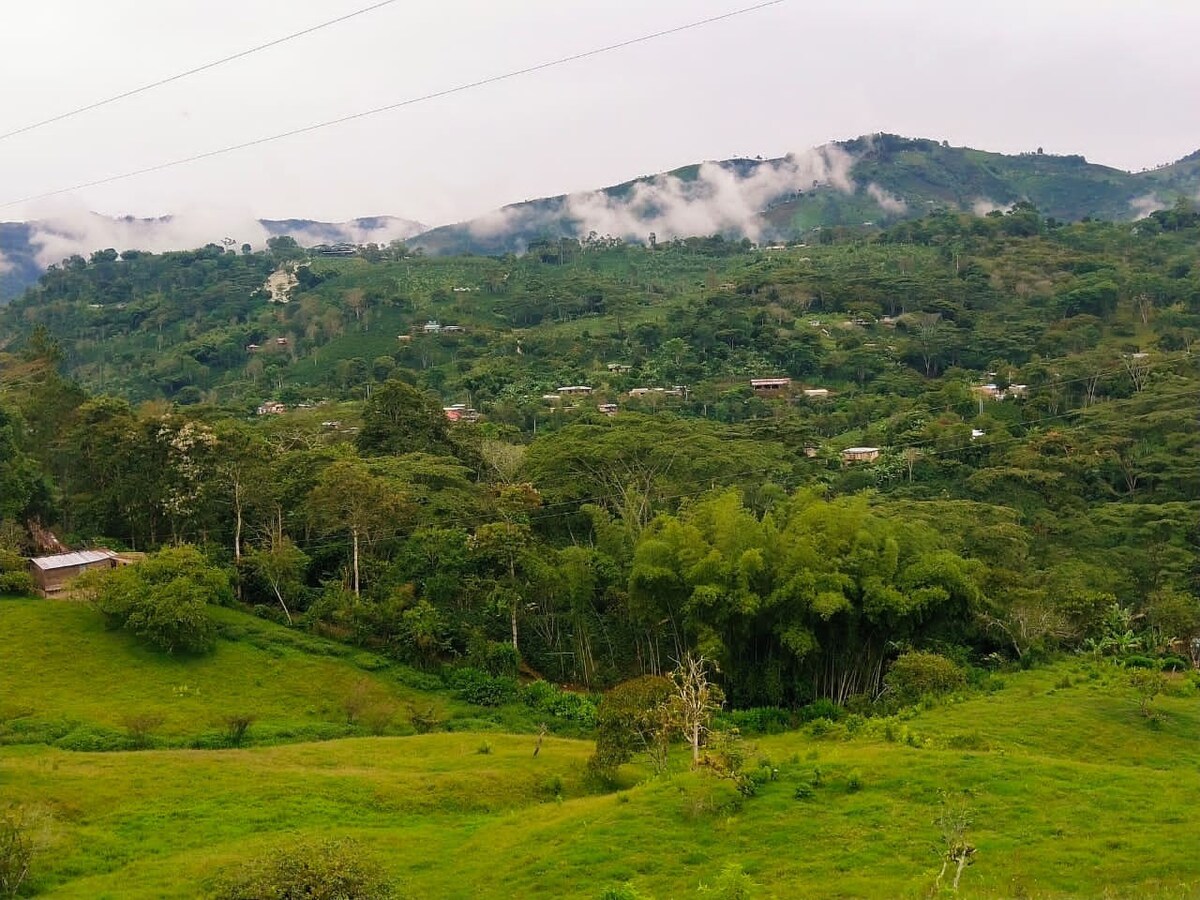 Paz y Tranquilidad en la Montaña