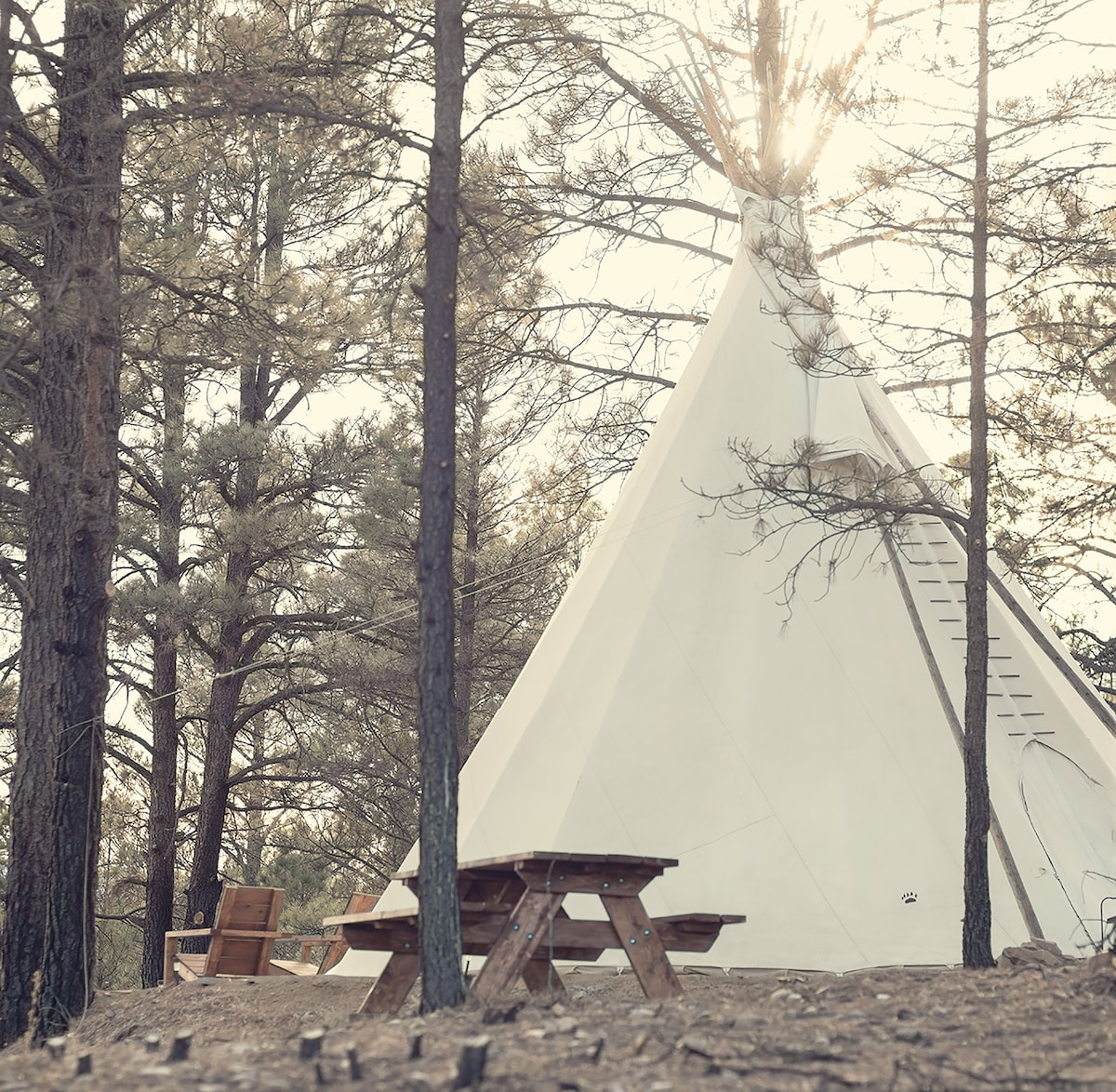 The Hiding Place
A Tipi glamping retreat