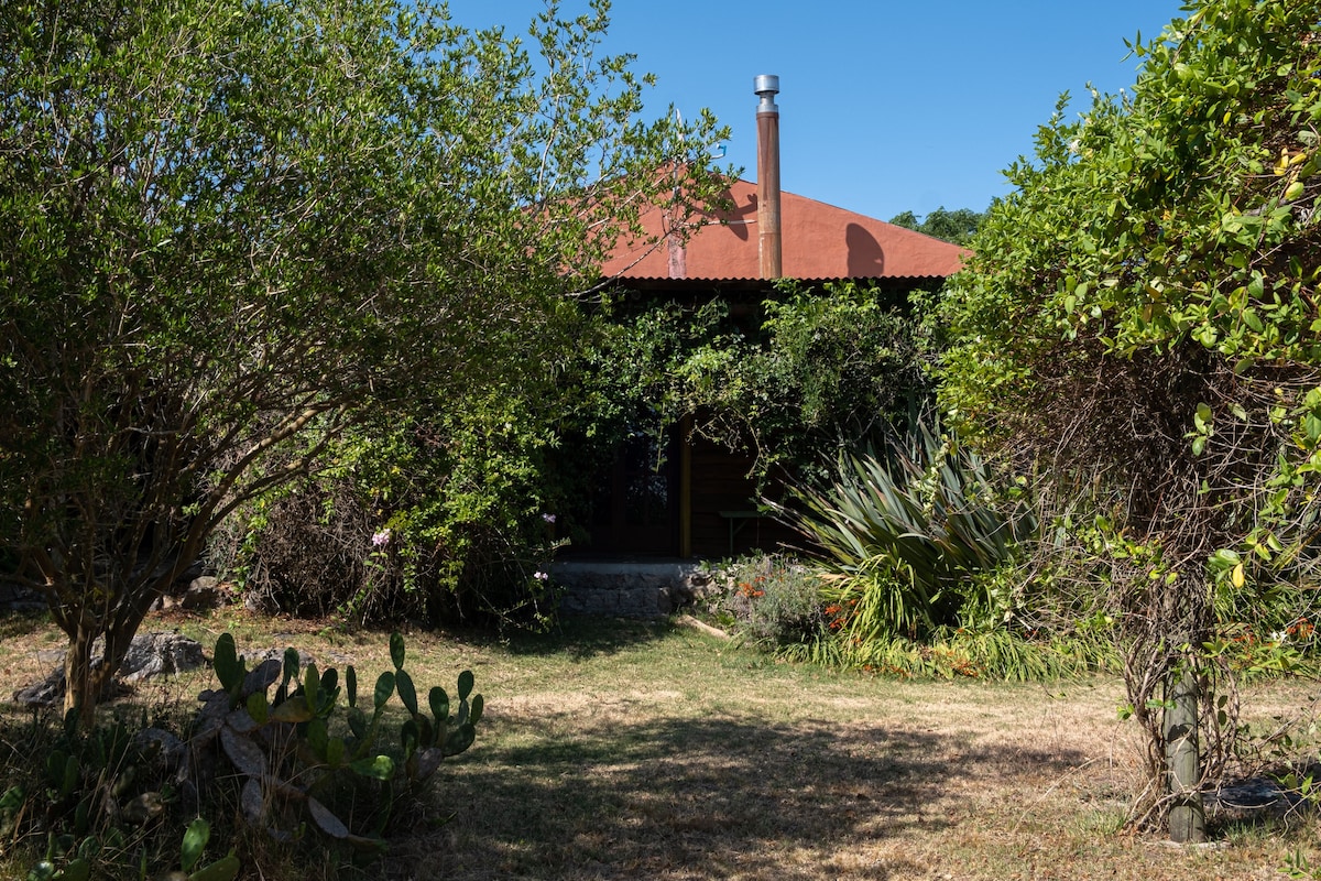 Cozy Country Cabin in Uruguay