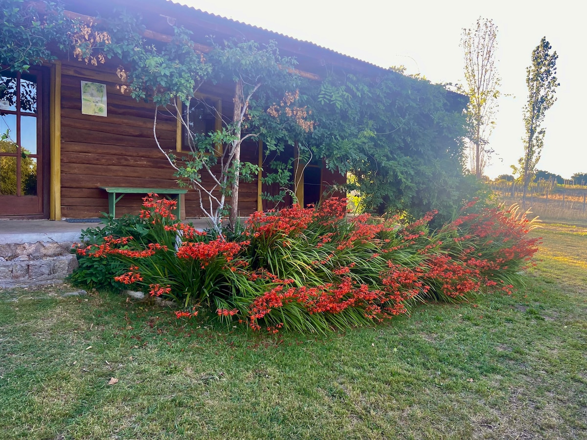 Cozy Country Cabin in Uruguay