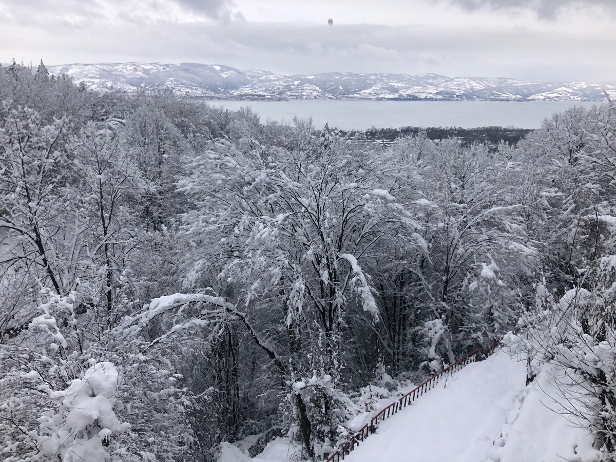 Göl manzaralı, havuzlu, saunalı