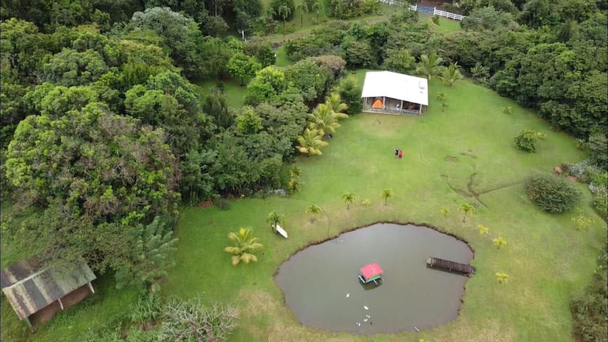 纽沃阿雷纳尔（Nuevo Arenal）的民宿