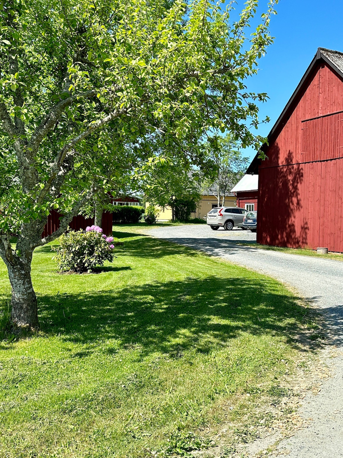 Gäststuga på liten idyllisk gård