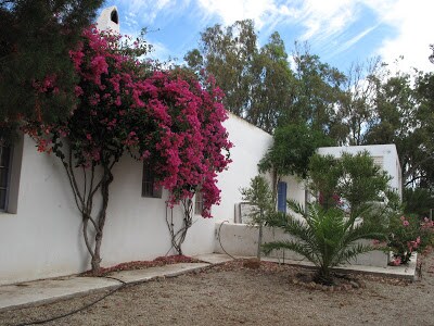 Un cortijo antiguo con alma