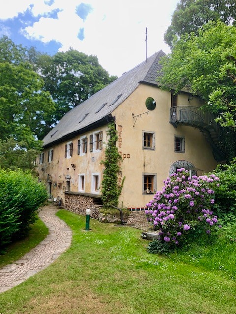 Künstlerhof mit Eselfamilie