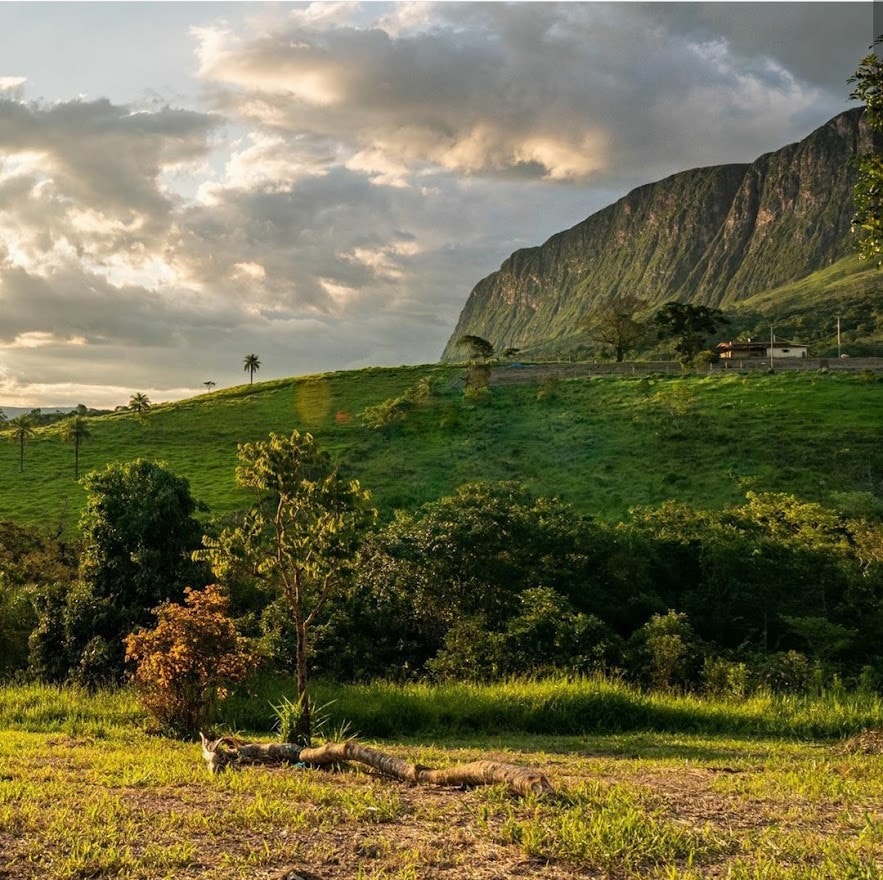 Serra da Canastra的宁静之地