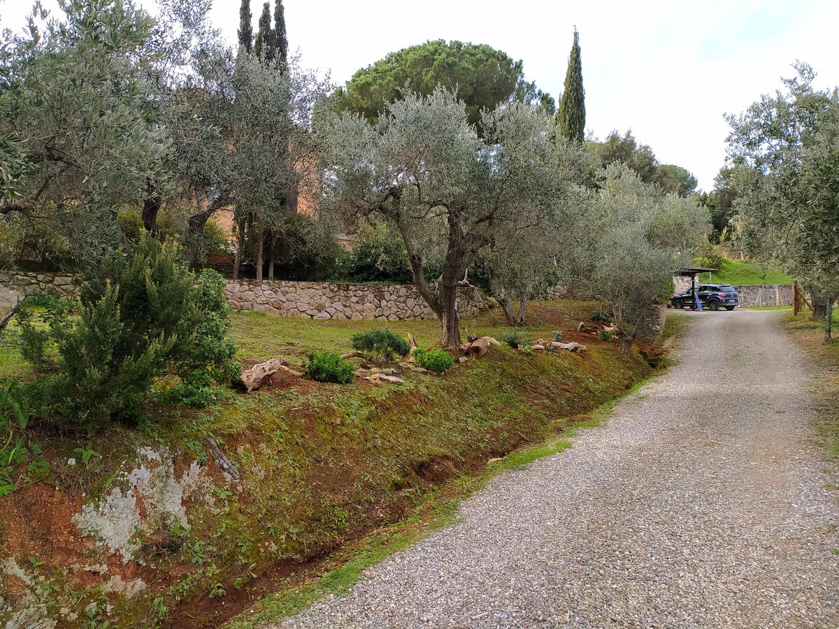 Villa Federico - Casa Isabel in Capoliveri