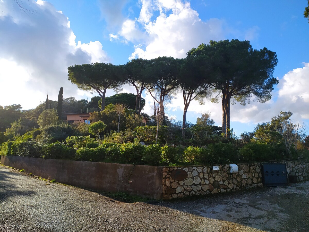 Villa Federico - Casa Isabel in Capoliveri