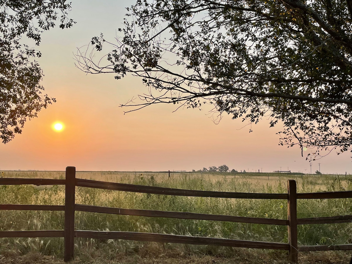 Enjoy the beautiful Texas sunsets 3-King Beds